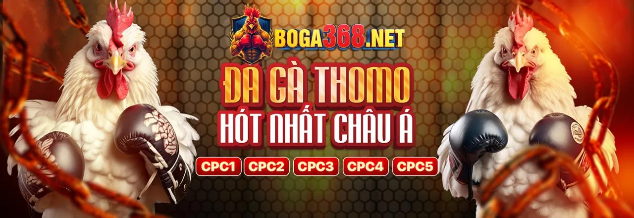 Hình ảnh chiến kê đá gà tại JB88